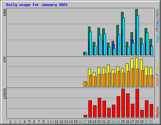 Daily usage for January 2021