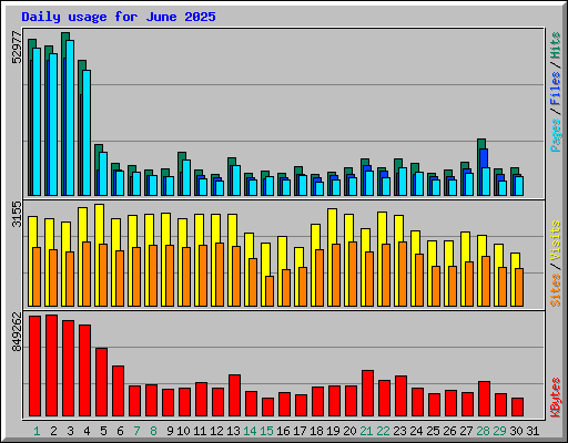 Daily usage for June 2025