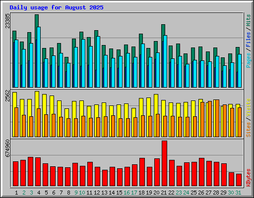 Daily usage for August 2025