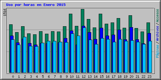 Uso por horas en Enero 2015