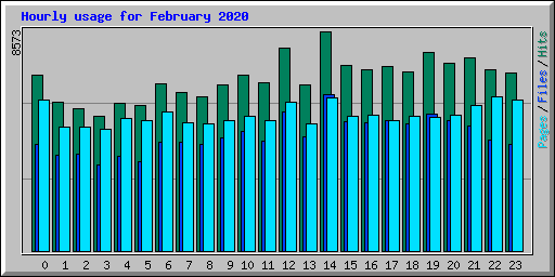 Hourly usage for February 2020