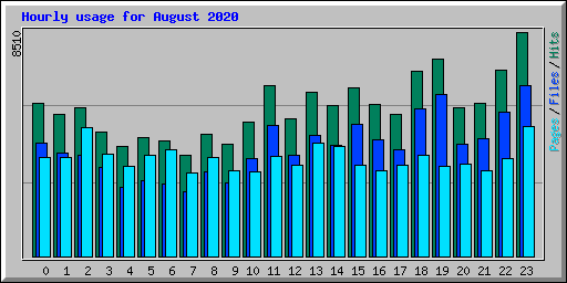 Hourly usage for August 2020