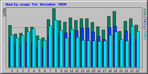 Hourly usage for December 2020