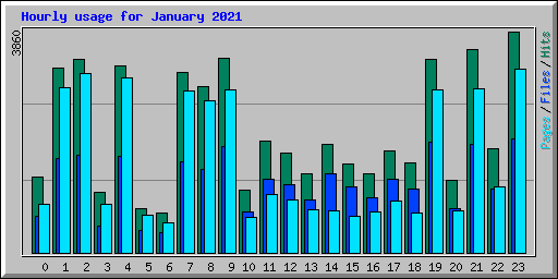 Hourly usage for January 2021