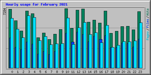 Hourly usage for February 2021