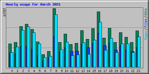 Hourly usage for March 2021