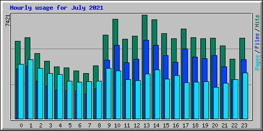 Hourly usage for July 2021