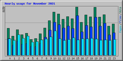 Hourly usage for November 2021