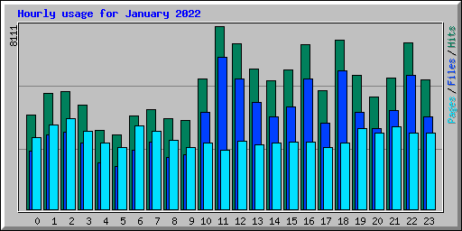 Hourly usage for January 2022