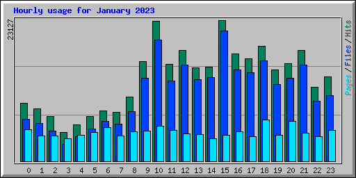 Hourly usage for January 2023