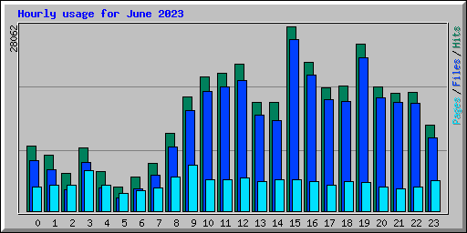 Hourly usage for June 2023