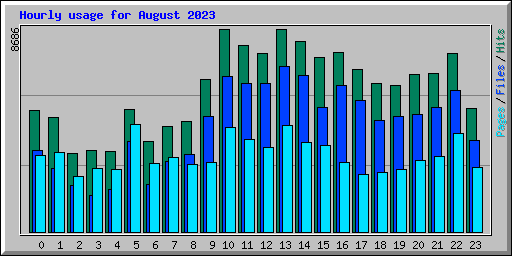 Hourly usage for August 2023