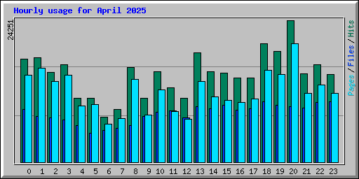 Hourly usage for April 2025