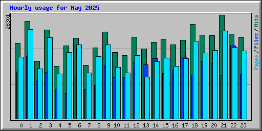Hourly usage for May 2025