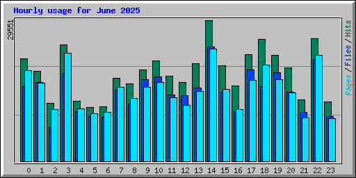 Hourly usage for June 2025