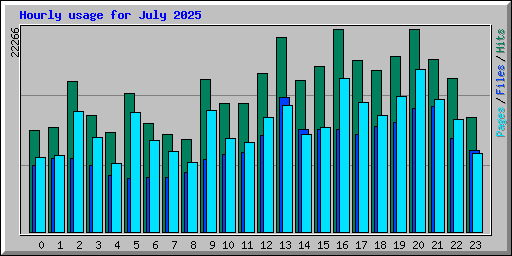 Hourly usage for July 2025