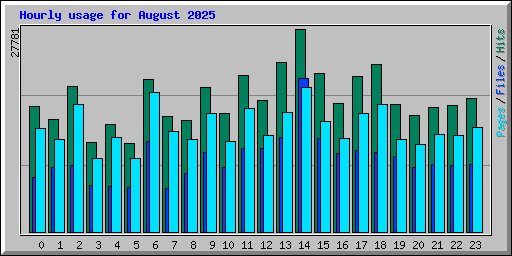 Hourly usage for August 2025