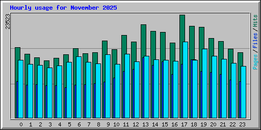 Hourly usage for November 2025