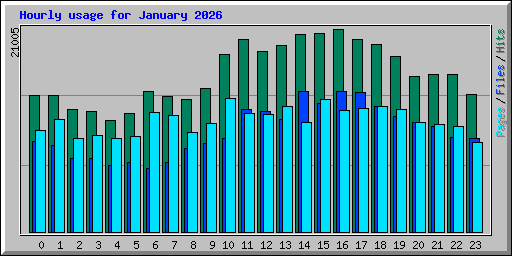 Hourly usage for January 2026